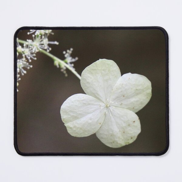Item preview, Stunning flower designed and sold by Thistle Images.
