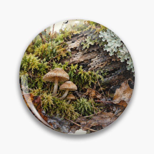 Item preview, Moss, Lichen & Tiny Mushrooms | Woodland Nature Study designed and sold by SusanSweetArt.