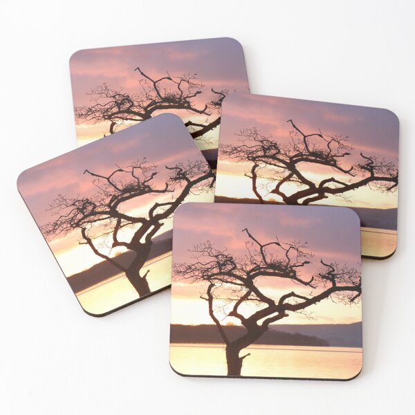 Item preview, Millarochy Bay Tree designed and sold by Thistle Images.