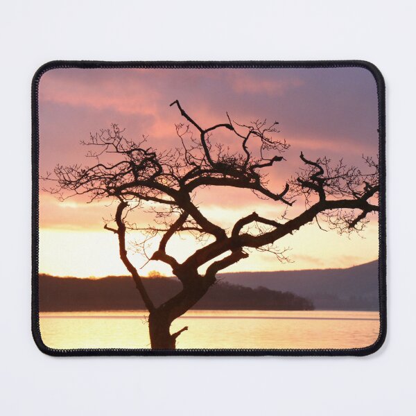 Item preview, Millarochy Bay Tree designed and sold by Thistle Images.