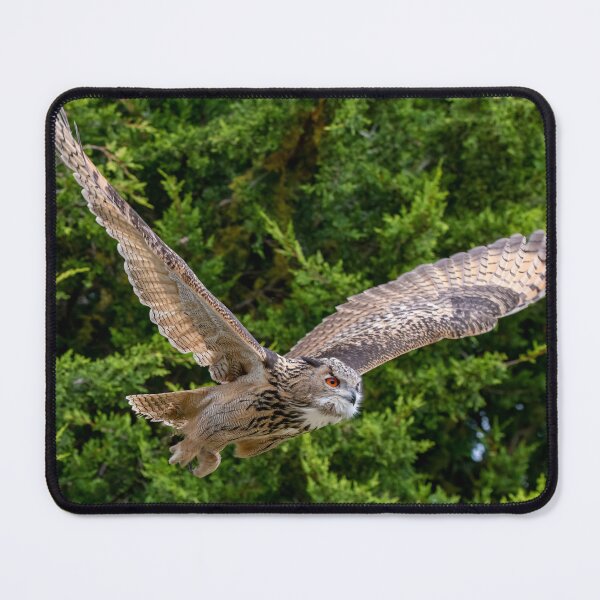 Item preview, The Eurasian Eagle-Owl (Bubo bubo) designed and sold by Vine Photographic.