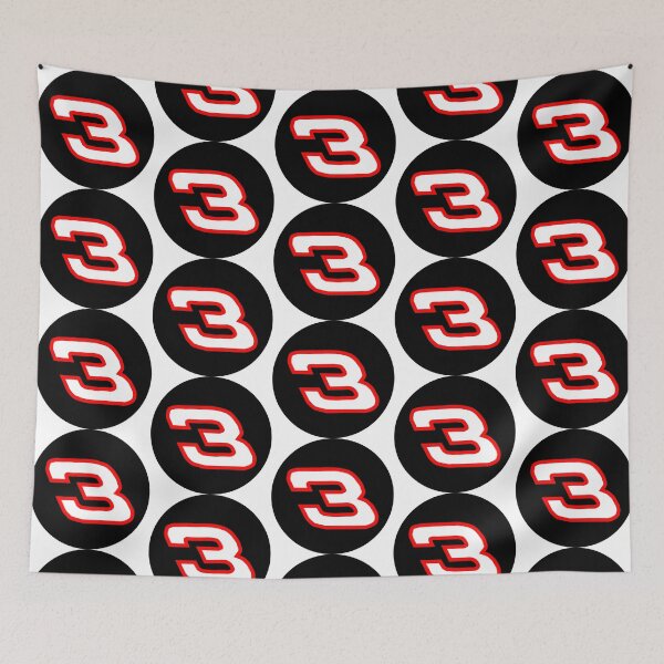 Item preview, Dale Earnhardt Nascar Paint Car Number #3 Black White Red Trim  designed and sold by Rolographics1.