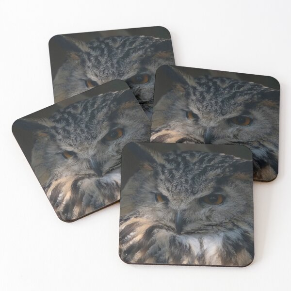 Item preview, The Eurasian Eagle-Owl (Bubo bubo) designed and sold by Vine Photographic.