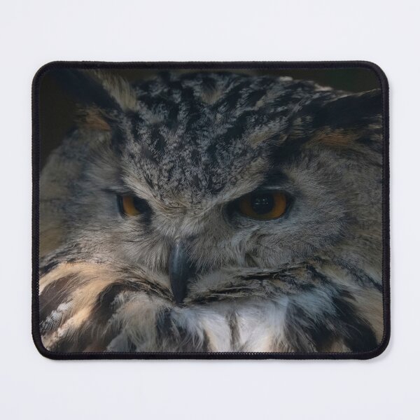 Item preview, The Eurasian Eagle-Owl (Bubo bubo) designed and sold by Vine Photographic.