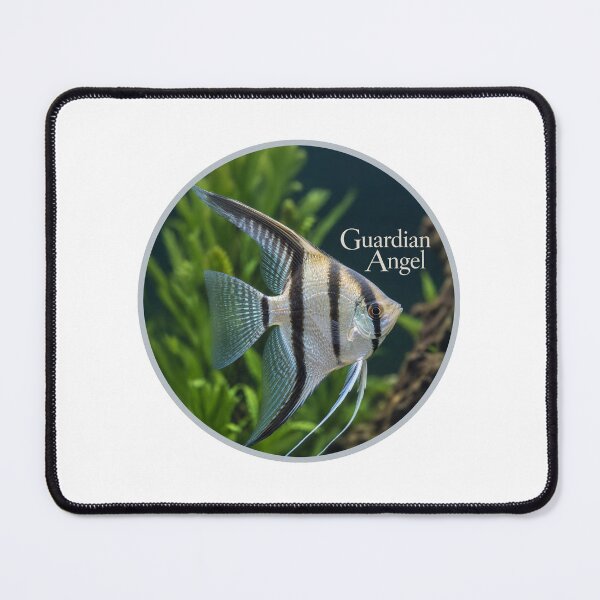 Item preview, Guardian Angel Freshwater Angelfish Graphic Design designed and sold by NotSoSubtleRosiePeas.
