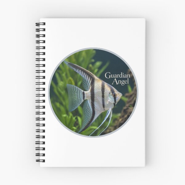 Item preview, Guardian Angel Freshwater Angelfish Graphic Design designed and sold by NotSoSubtleRosiePeas.