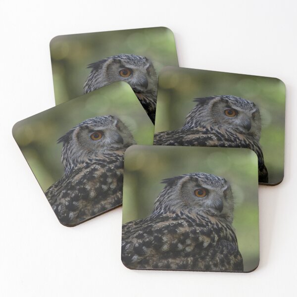 Item preview, The Eurasian Eagle-Owl (Bubo bubo) designed and sold by Vine Photographic.