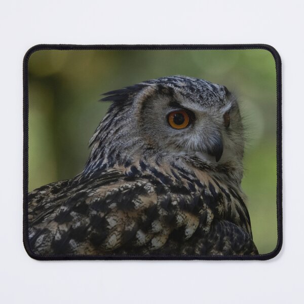 Item preview, The Eurasian Eagle-Owl (Bubo bubo) designed and sold by Vine Photographic.
