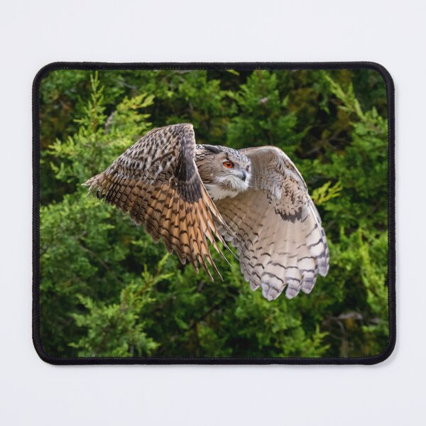 Item preview, The Eurasian Eagle-Owl (Bubo bubo) designed and sold by Vine Photographic.