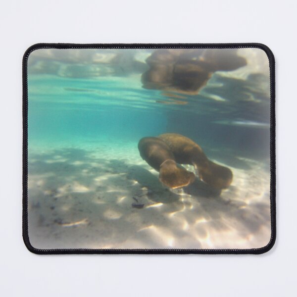 Item preview, Manatees, Crystal River designed and sold by Chel Summers .