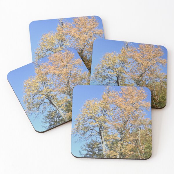 Item preview, Vibrant Autumn Trees designed and sold by kcschweizer.
