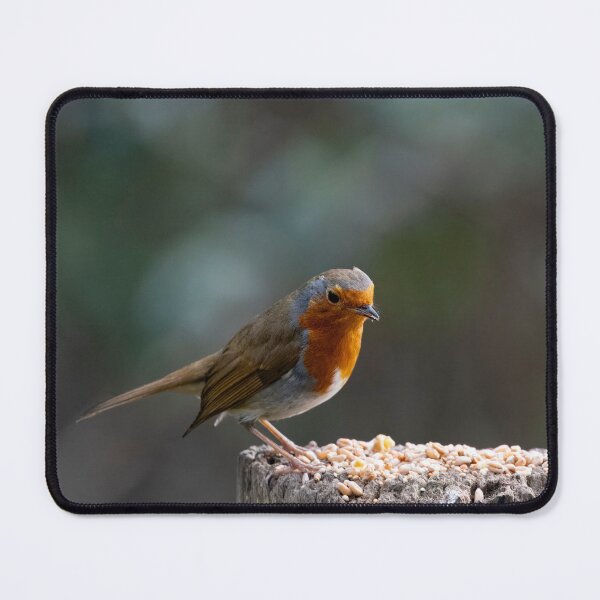 Item preview, The European Robin (Erithacus rubecula). designed and sold by Vine Photographic.
