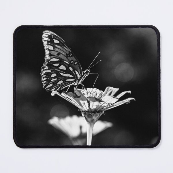 Item preview, B&W Butterfly on Zinnia Flower designed and sold by PhotoArtbyGrace.