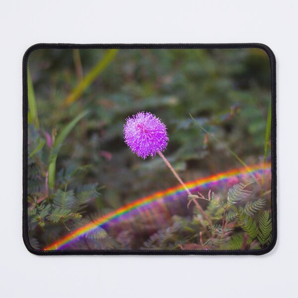 Item preview, Wildflower with Rainbow designed and sold by PhotoArtbyGrace.