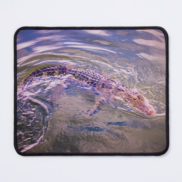 Item preview, Florida Baby Alligator in Pond designed and sold by PhotoArtbyGrace.