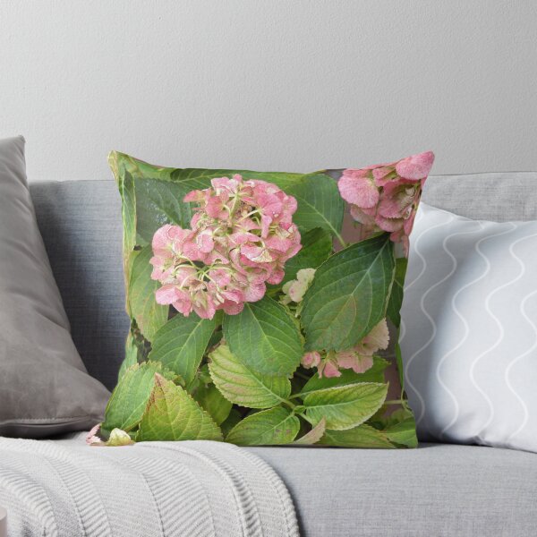 Item preview, Pink hydrangea in the garden in autumn. Beautiful natural foto background. designed and sold by ollgast5.