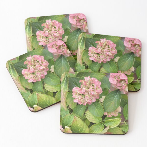 Item preview, Pink hydrangea in the garden in autumn. Beautiful natural foto background. designed and sold by ollgast5.
