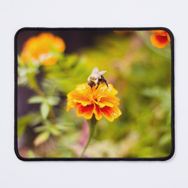 Item preview, Honey Bee Landing on orange marigold flower designed and sold by PhotoArtbyGrace.