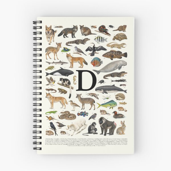 Item preview, Letter D Animal Alphabet Retro Identification Chart designed and sold by kakarikihill.