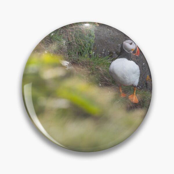 Item preview, Kingfisher Agfa Camera cFishing Moment designed and sold by mviaisay.