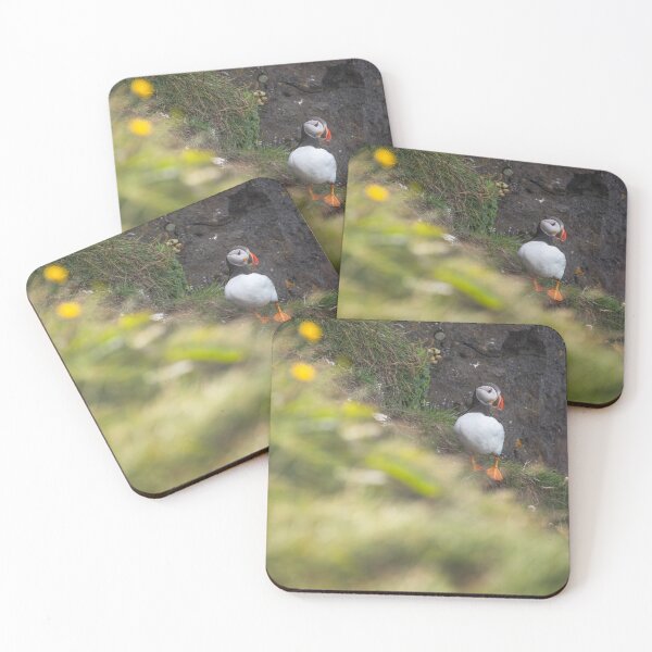Item preview, Kingfisher Agfa Camera cFishing Moment designed and sold by mviaisay.
