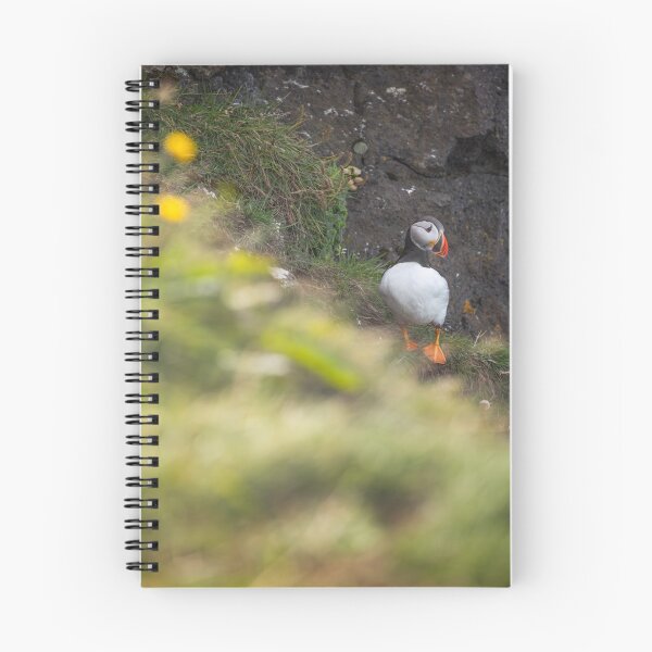 Item preview, Kingfisher Agfa Camera cFishing Moment designed and sold by mviaisay.