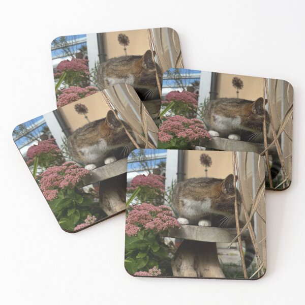 Item preview, Calgary Aerolineas Argentinas aOutdoor Adventure designed and sold by Kristianjusari.