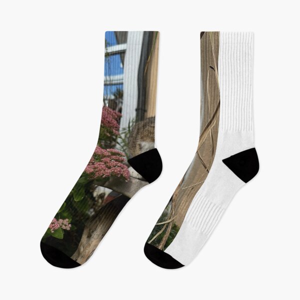 Item preview, Calgary Aerolineas Argentinas aOutdoor Adventure designed and sold by Kristianjusari.