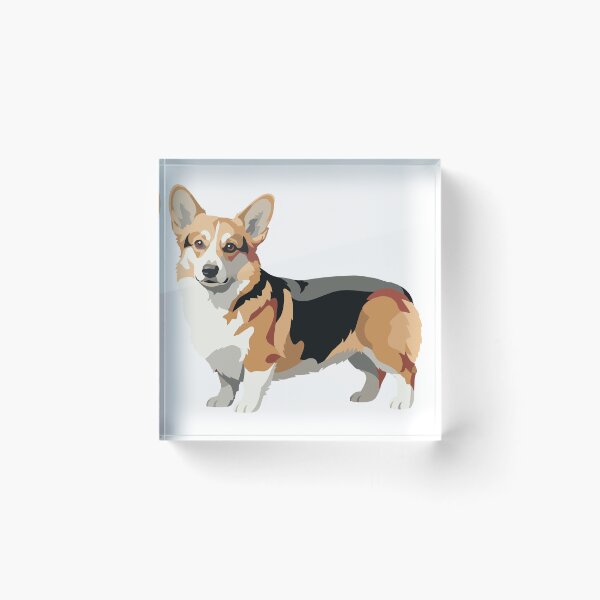Item preview, A Corgi without Context designed and sold by Azadi-Tree.