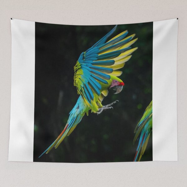 Item preview, Rainbow Ahrefs cSpirit Shines designed and sold by Melisapman.
