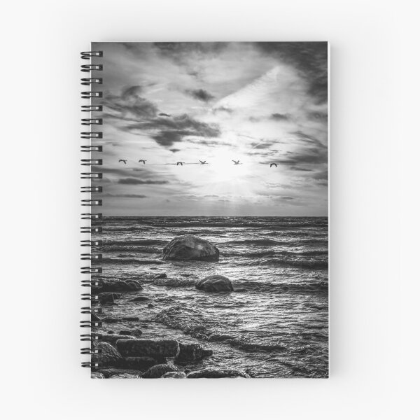 Item preview, Sunrise over Lake Michigan with birds in Sheboygan Wisconsin black and white designed and sold by TerraMediaLLC.