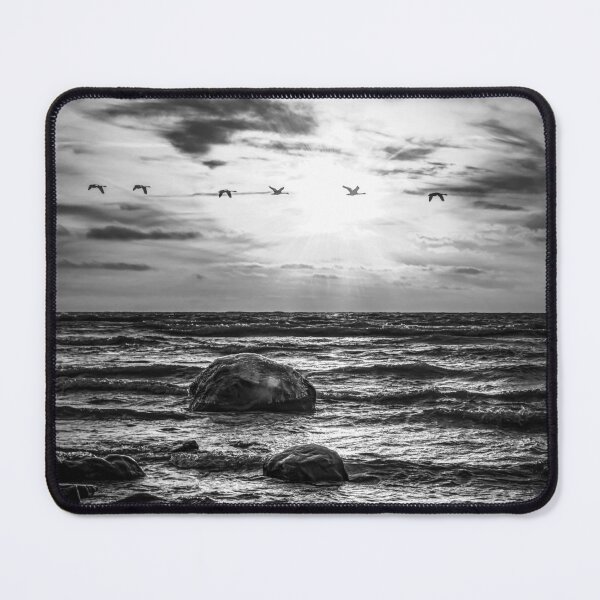 Item preview, Sunrise over Lake Michigan with birds in Sheboygan Wisconsin black and white designed and sold by TerraMediaLLC.