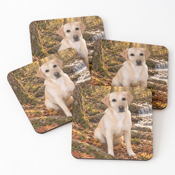 Item preview, Falling for Yellow Labs designed and sold by questadesigns.