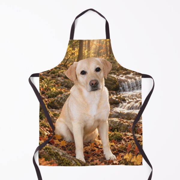 Item preview, Falling for Yellow Labs designed and sold by questadesigns.