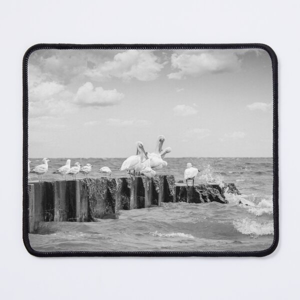 Item preview, White pelicans and gulls on jetty on Sheboygan Wisconsin Lake Michigan in black and white designed and sold by TerraMediaLLC.