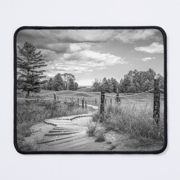 Item preview, Kohler Andrae boardwalk through grass in black and white designed and sold by TerraMediaLLC.