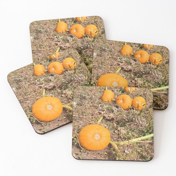Item preview, Pumpkins 2 ElitebyElise designed and sold by ExceptionallyHumbleArtbyElise (Once known as ElitebyElise).