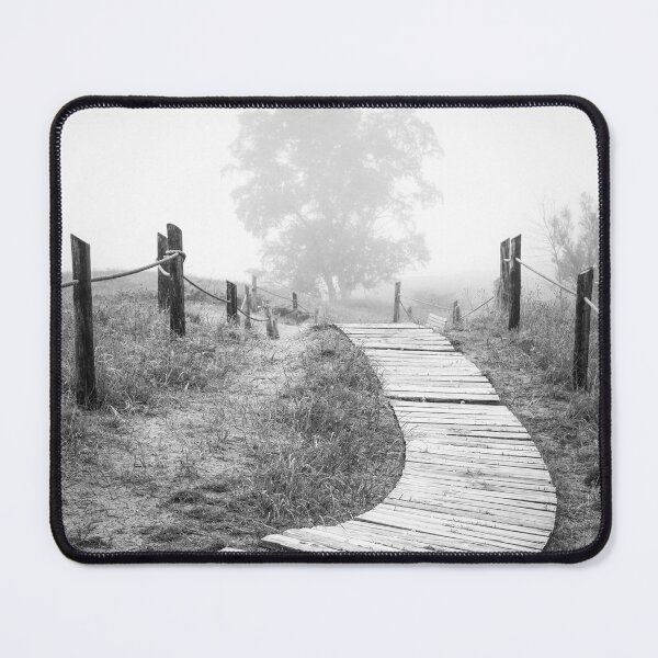 Item preview, Kohler Andrae State Park boardwalk through pines black and white designed and sold by TerraMediaLLC.