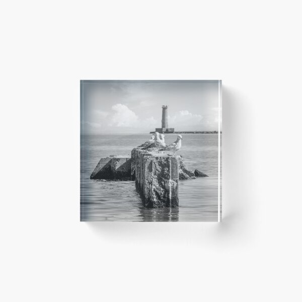 Item preview, gulls in front of Sheboygan lighthouse in black and white designed and sold by TerraMediaLLC.