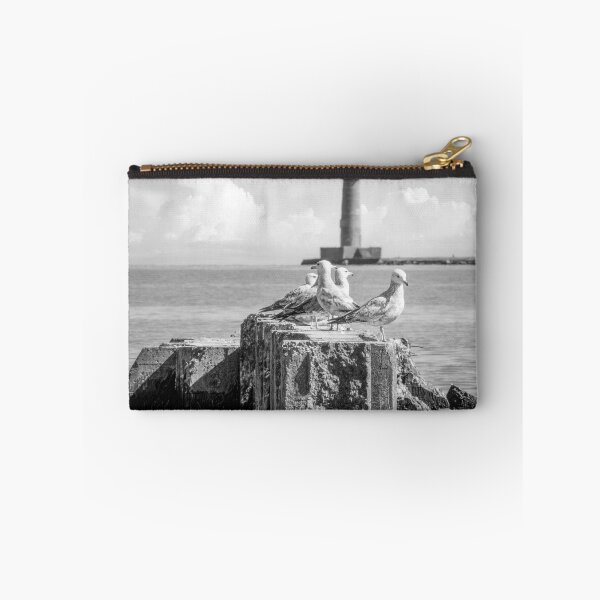 Item preview, gulls in front of Sheboygan lighthouse in black and white designed and sold by TerraMediaLLC.