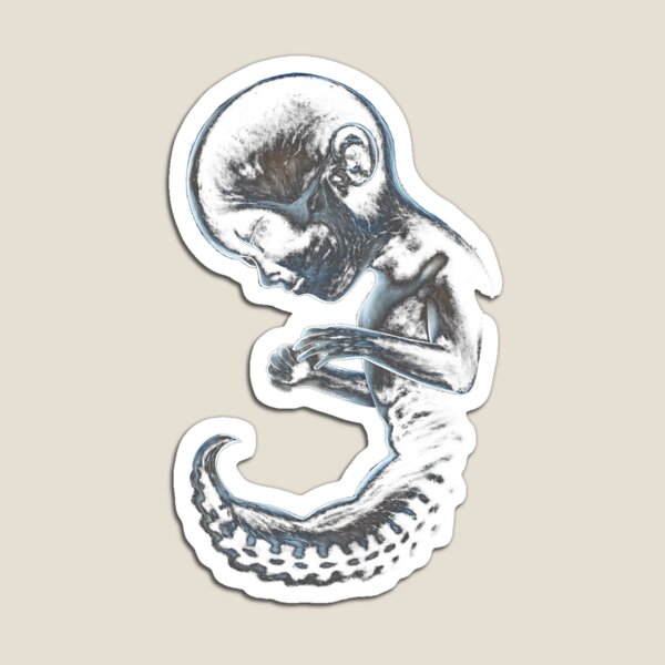 Item preview, Copy Engma To00L designed and sold by EmileDaugherty.