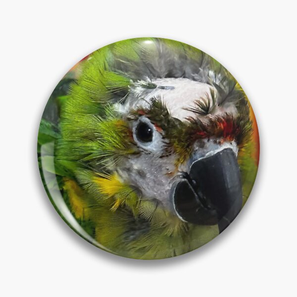 Item preview, Aurora designed and sold by DinosaurBiology.