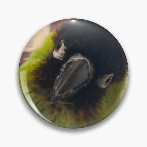 Item preview, Willis designed and sold by DinosaurBiology.