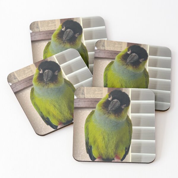 Item preview, Willis designed and sold by DinosaurBiology.