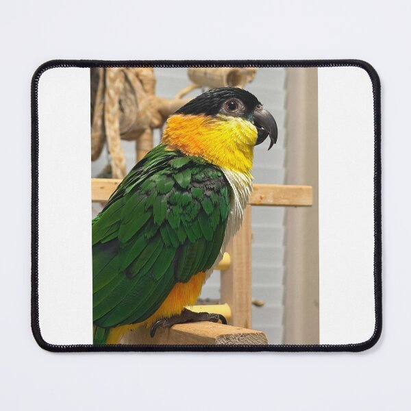 Item preview, Bumi designed and sold by DinosaurBiology.