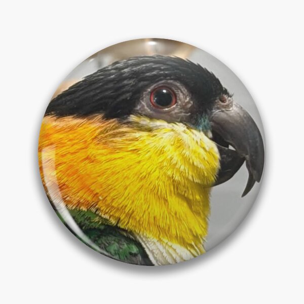 Item preview, Bumi designed and sold by DinosaurBiology.