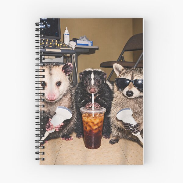 Item preview, Support Your Local Sonographers Raccoon Ultrasound Possum designed and sold by FableMind.