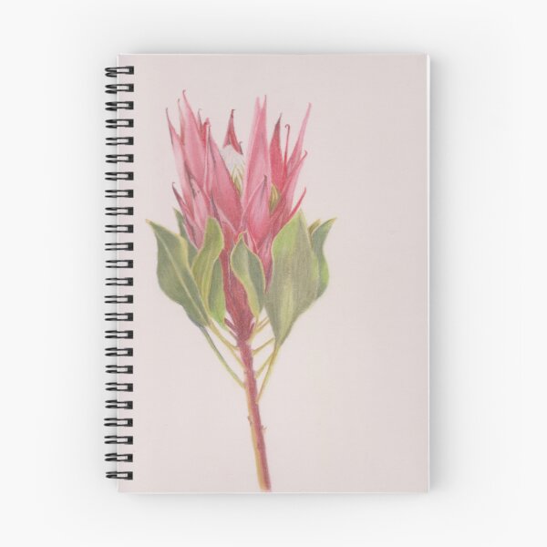 Item preview, Protea drawn from a photo i took in my garden designed and sold by SandraAnimalArt.