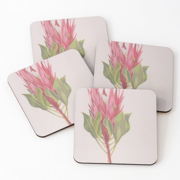 Item preview, Protea drawn from a photo i took in my garden designed and sold by SandraAnimalArt.