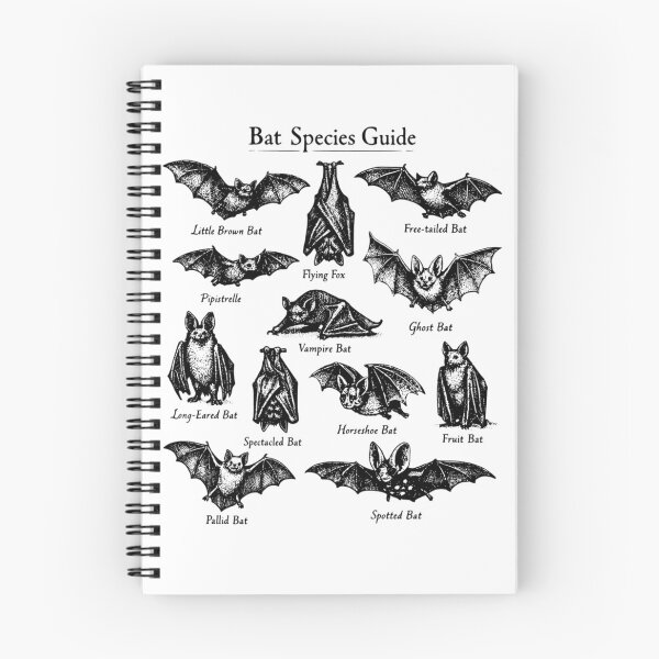 Item preview, Bat Species Guide Spooky Season Trick Or Treat Halloween designed and sold by raewaelchi.